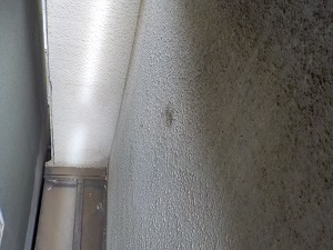 中央スペース 施工前.jpg