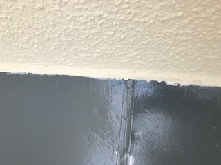 下屋 防水後塗装 途中工程 外壁塗装終了後.jpg