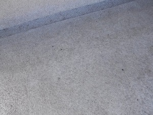 DSCN0364.JPG